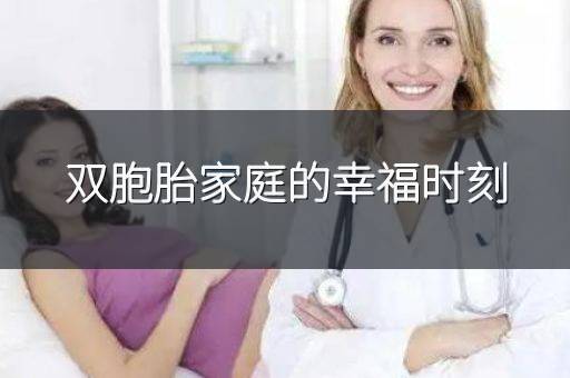 双胞胎家庭的幸福时刻