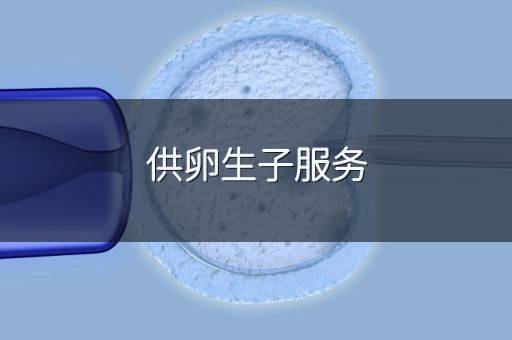 供卵生子服务