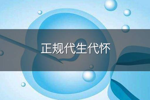 正规代生代怀