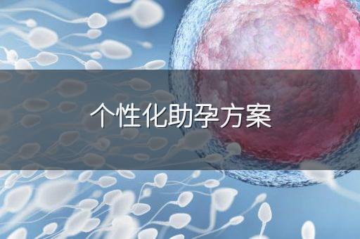 个性化助孕方案