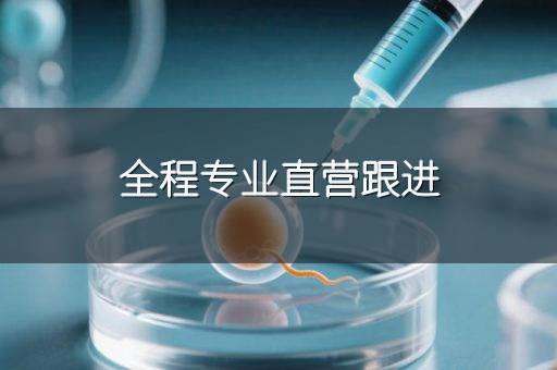 全程专业直营跟进